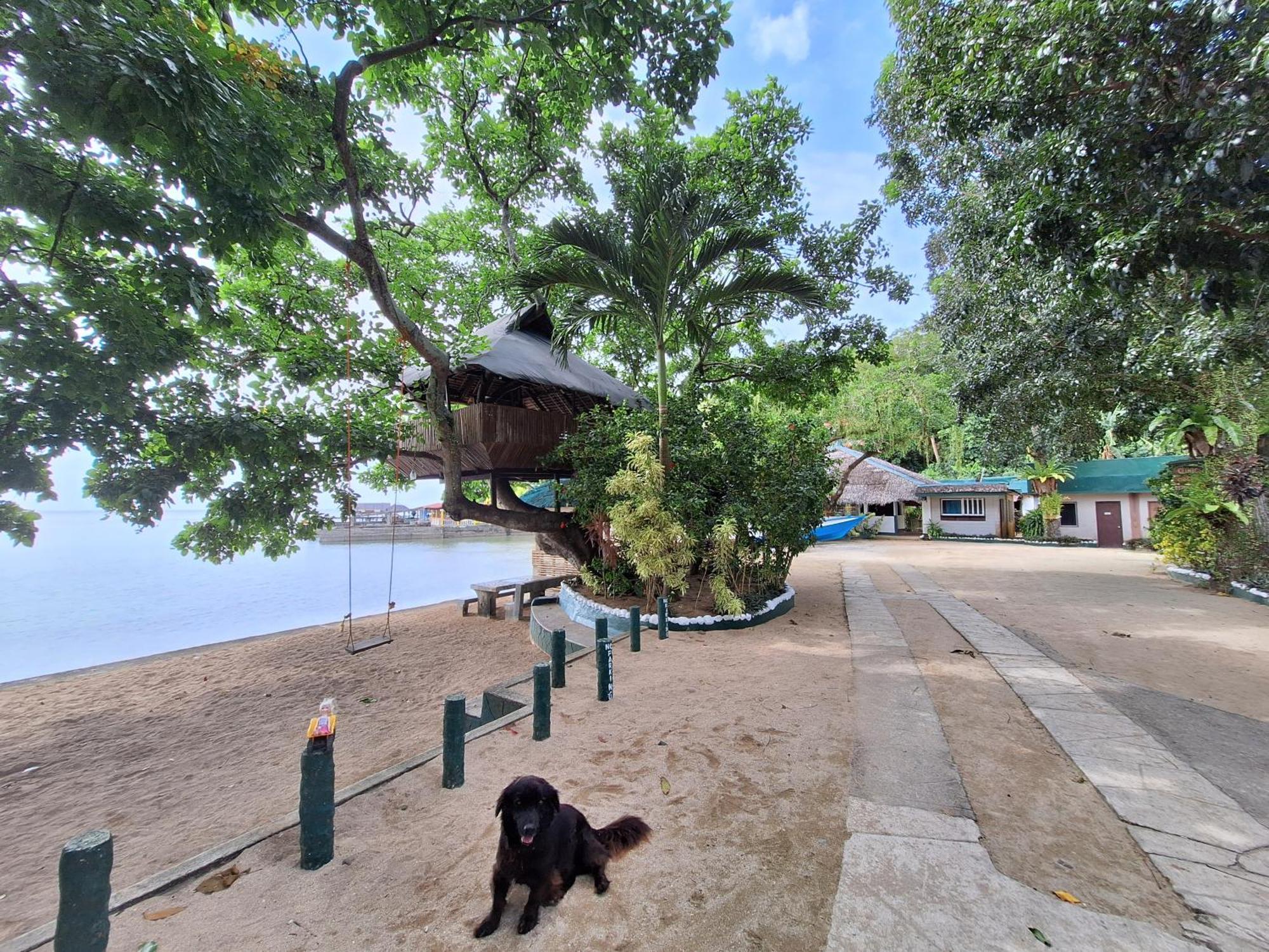 Agta Beach Resort Biliran Kültér fotó